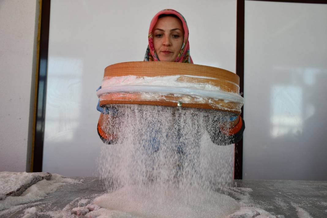 Sakarya Nehrinin suladığı topraklarda üretiliyor. Katar, ABD ve Almanya'ya gönderiliyor 3